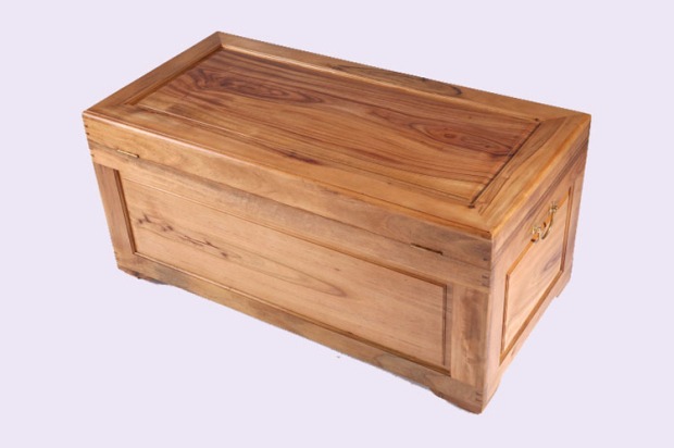 Vali hộp lưu trữ ánh sáng bảng gỗ long não hộp gỗ thật Dongyang hộp thư pháp và sơn hộp gỗ rắn Trung Quốc - Cái hộp hộp gỗ vuông