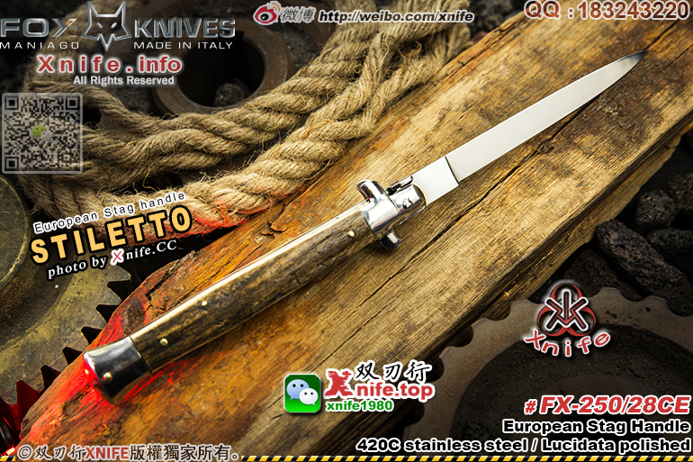 25028CE-17.jpg