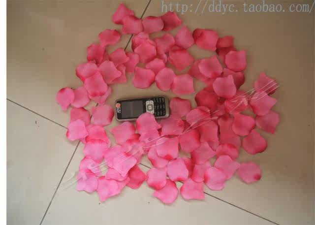 Bougie - Ref 2494159 Image 25