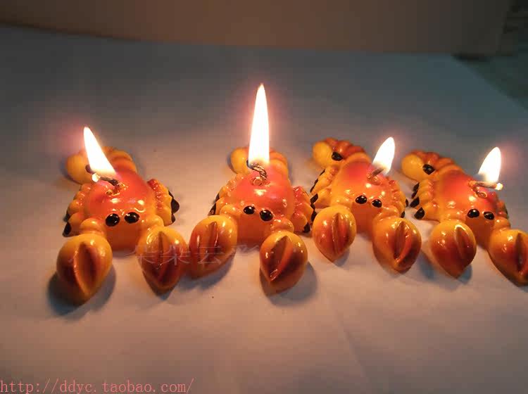 Bougie - Ref 2494166 Image 6