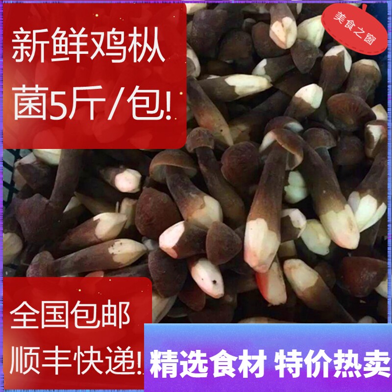 Shredded chicken mushroom 5 kg Yunnan specialty fresh shredded chicken mushroom Wild mushroom Fresh shredded chicken mushroom edible mushroom Chicken vertical mushroom 5 kg