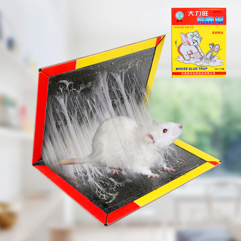 Sticky mouse glue Yao paste particles Rodent control catch sticky mouse board Strong household drug buster Mousetrap artifact spirit