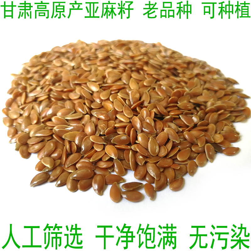 Northwest Teryield Gansu raw flax seed Huma seed Squeezed Oil Mill to Do Seed Clean 500 gr Loaded Beats 5 kg