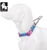 Truelove Dog Collar, Neck Collar, Pet Supplies, Training P-Shaped Rope, P-Chain, Medium and Large Dogs, Anti-Burst