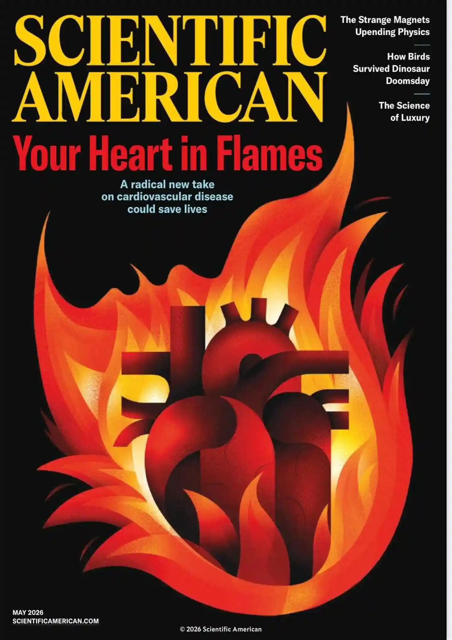 《科学美国人 Scientific American》2026年第5期全彩精校PDF杂志下载