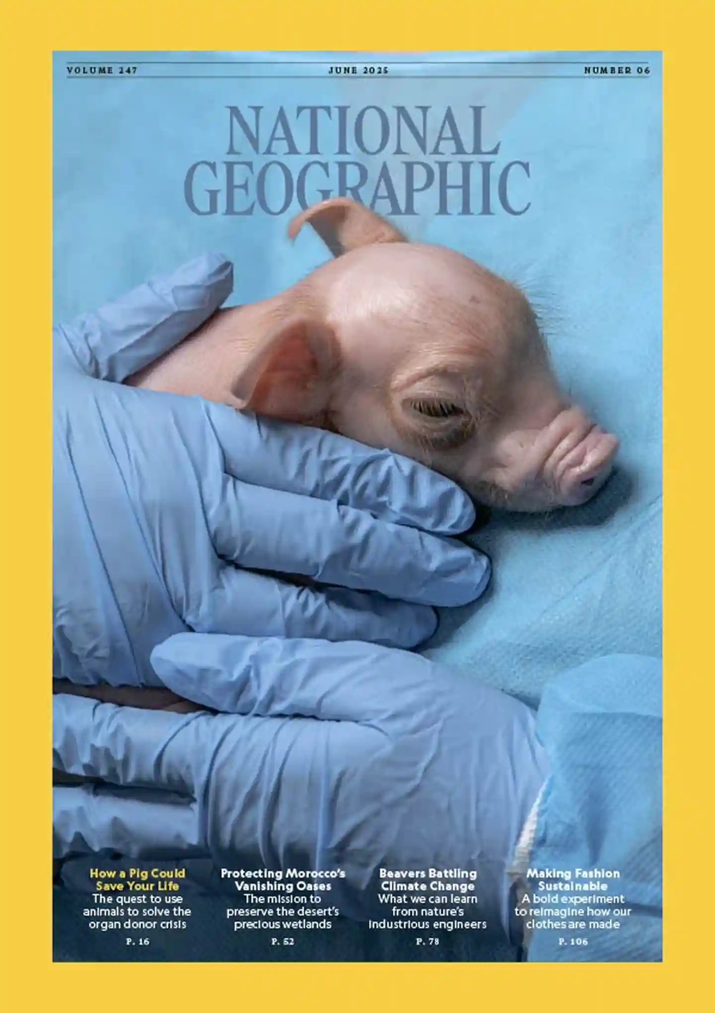 《美国国家地理 National Geographic USA》2025年第6期全彩精校PDF杂志下载
