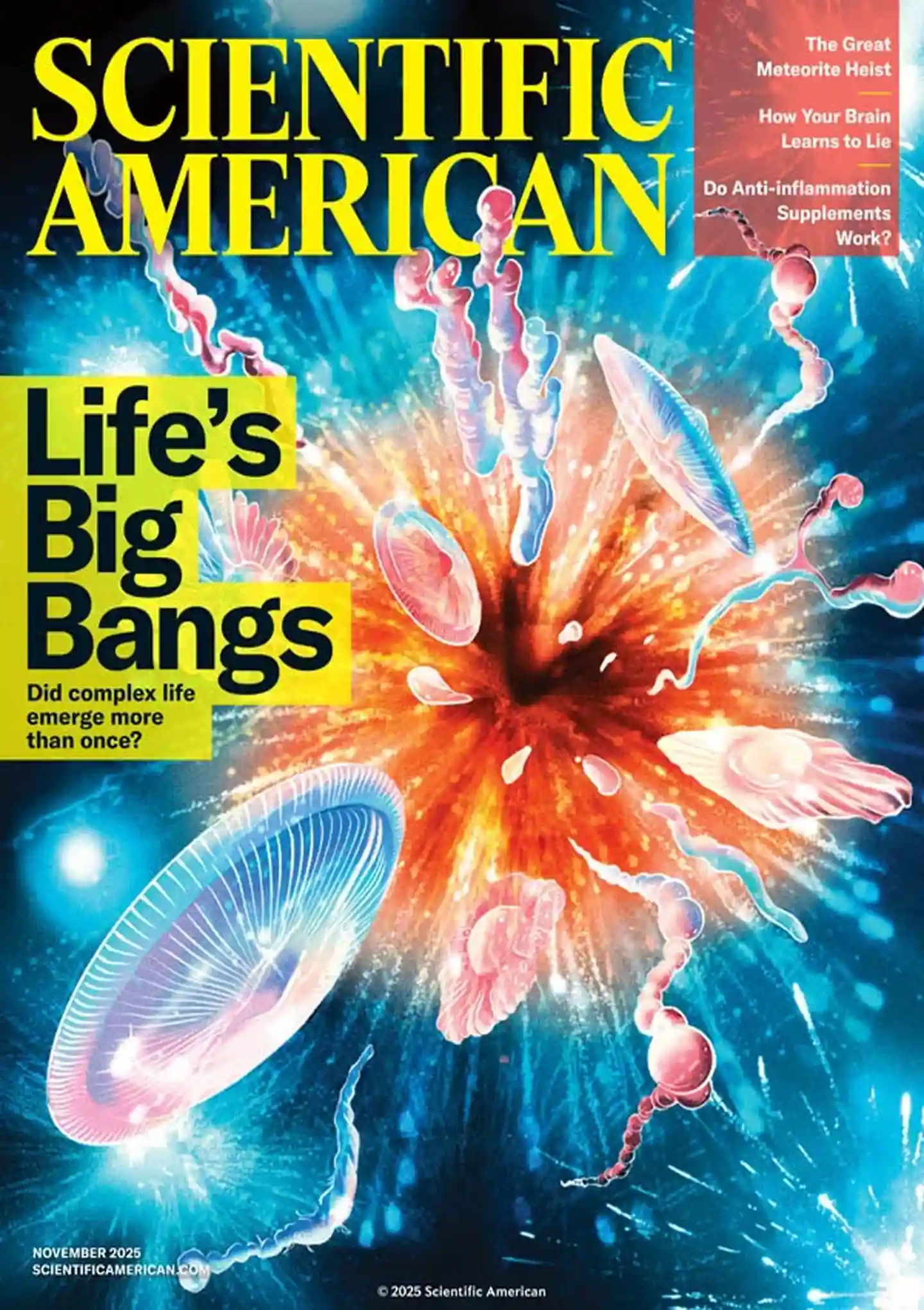 《科学美国人 Scientific American》2025年第11期全彩精校PDF杂志下载
