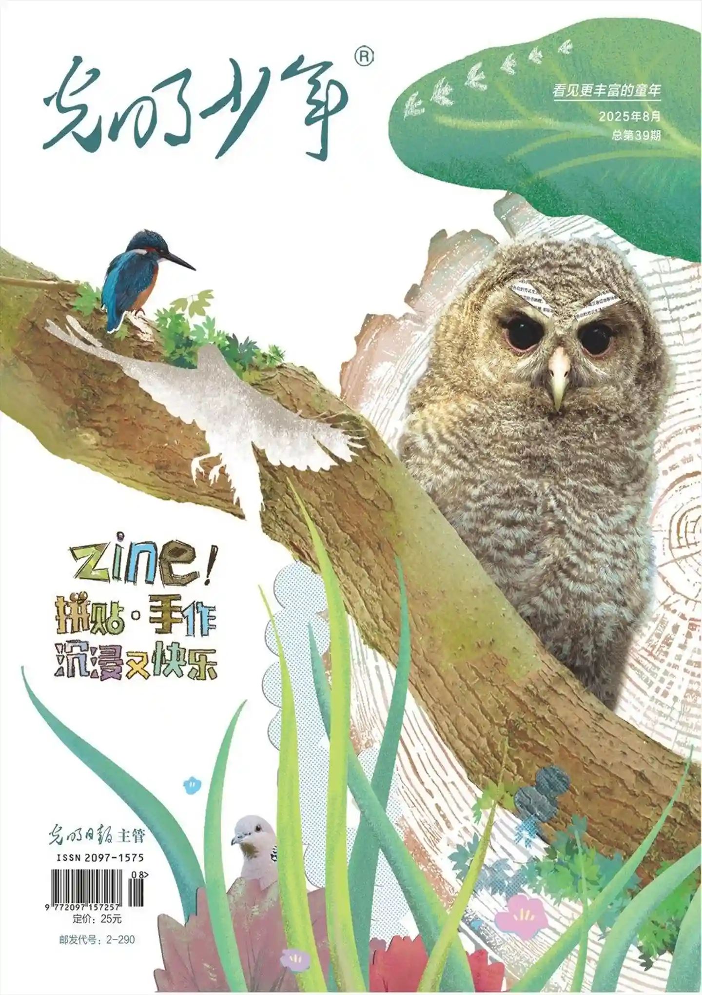 《光明少年》2025年第9期全彩精校PDF杂志下载