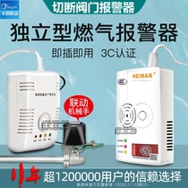 (Factory) Natural gas gas leak alarm solenoid valve manipulator automatic valve closing combustible gas