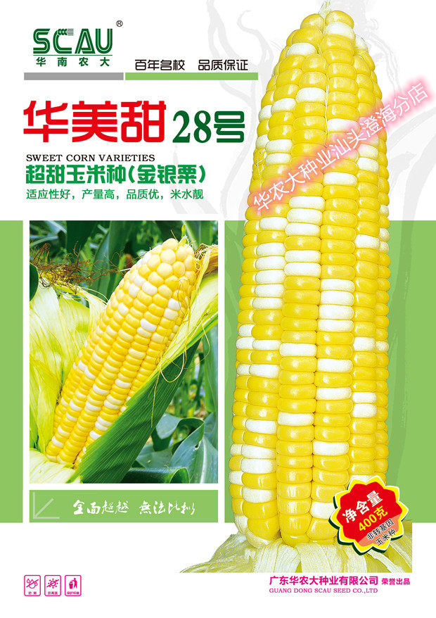 South China Agricultural University Huamei Sweet No. 28 400g gold and silver millet fruit corn seeds four seasons cultivation high yield