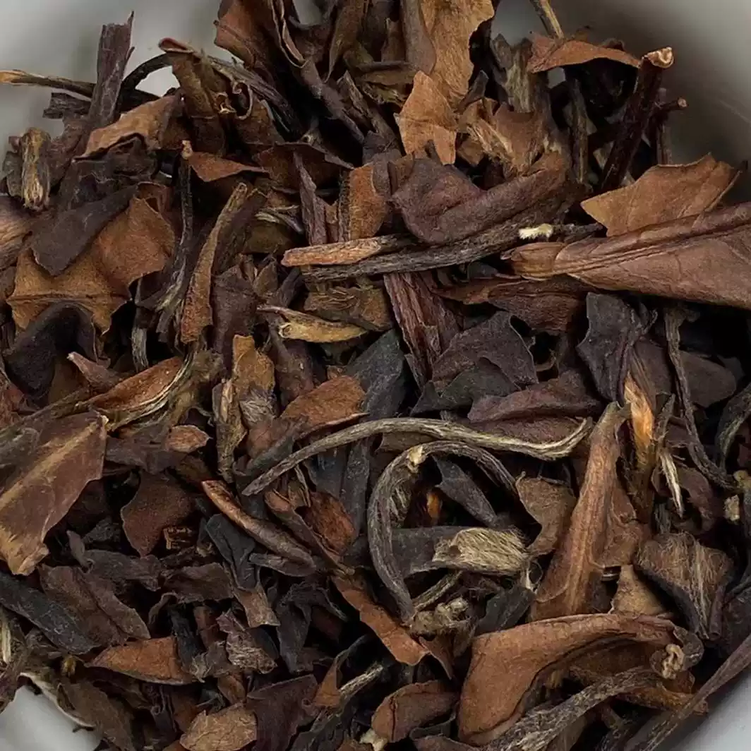 福鼎陳年老白茶2005年壽眉散茶福建產日曬白茶500克帶有棗香