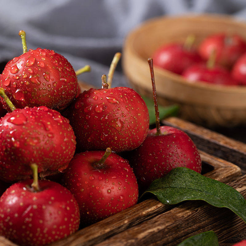 山楂鲜果超大五棱山楂适合做冰糖葫芦泡酒吗？——2026商用新品趋势