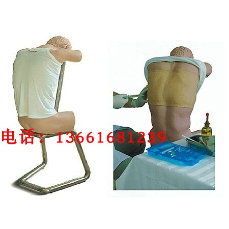背部胸腔穿刺电子标准化病人 胸腔穿刺模拟人 胸腔穿刺模型