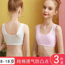 Student underwear cotton middle and large Children hairy breast growth period girl growth vest double-layer anti-bump sling