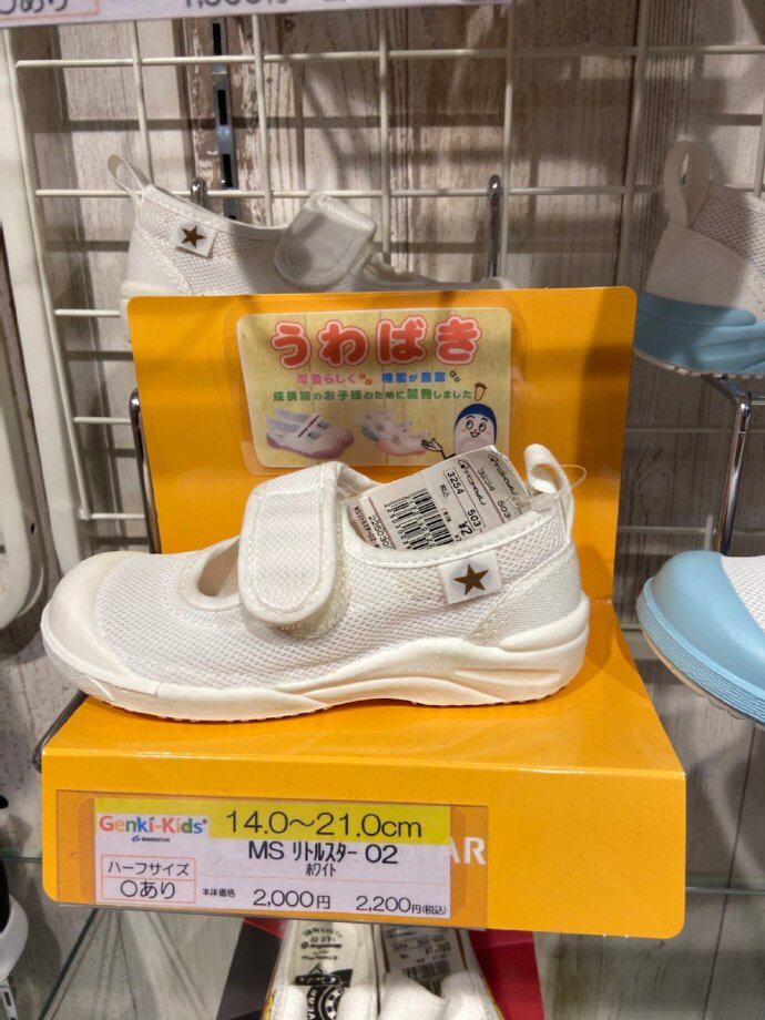 GROSS HOKKAIDO MOON * STAR STICKY BUTTON Gymnastics Shoes No Shoe Box