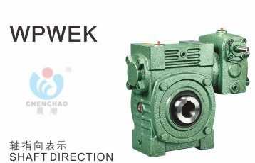 Worm gear worm lever reducer upright double class Ka Shing mechanical morning tide mark reduction box WPWEK80-135