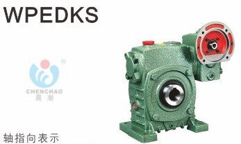 Ka Shing Reducer Morning Tide Trademark YS Double Class Vertical Worm worm gear reducer WPEDKS60-100
