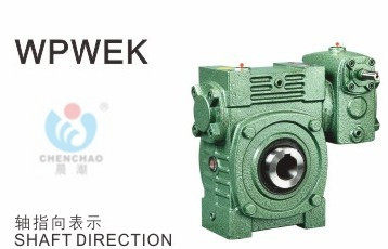 Worm gear worm lever reducer upright double class Ka Shing mechanical morning tide mark reduction box WPWEK40-70