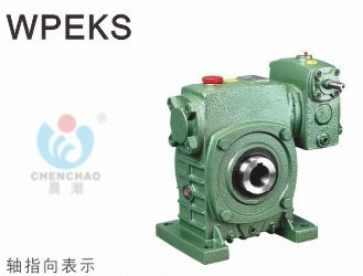 Double-level Ka Cheng Machinery Ka Cheng Reducer Morning Tide Reducer WPEKS100-155