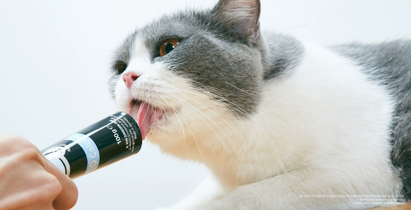Vận chuyển trước Đức Gimpet Jun Bao Jun Bao mèo con kem dinh dưỡng canxi cao 100g - Cat / Dog Health bổ sung