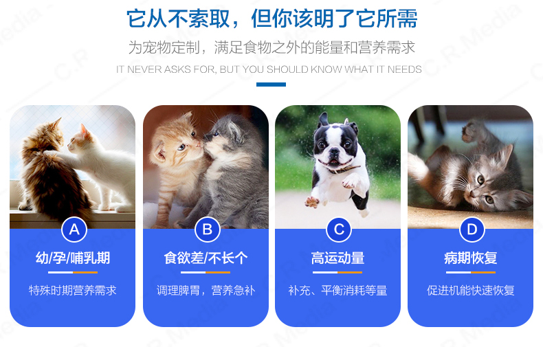Kem dinh dưỡng Vic-Ke của Pháp Sản phẩm dinh dưỡng và chăm sóc sức khỏe cho chó Sữa cho mèo trưởng thành