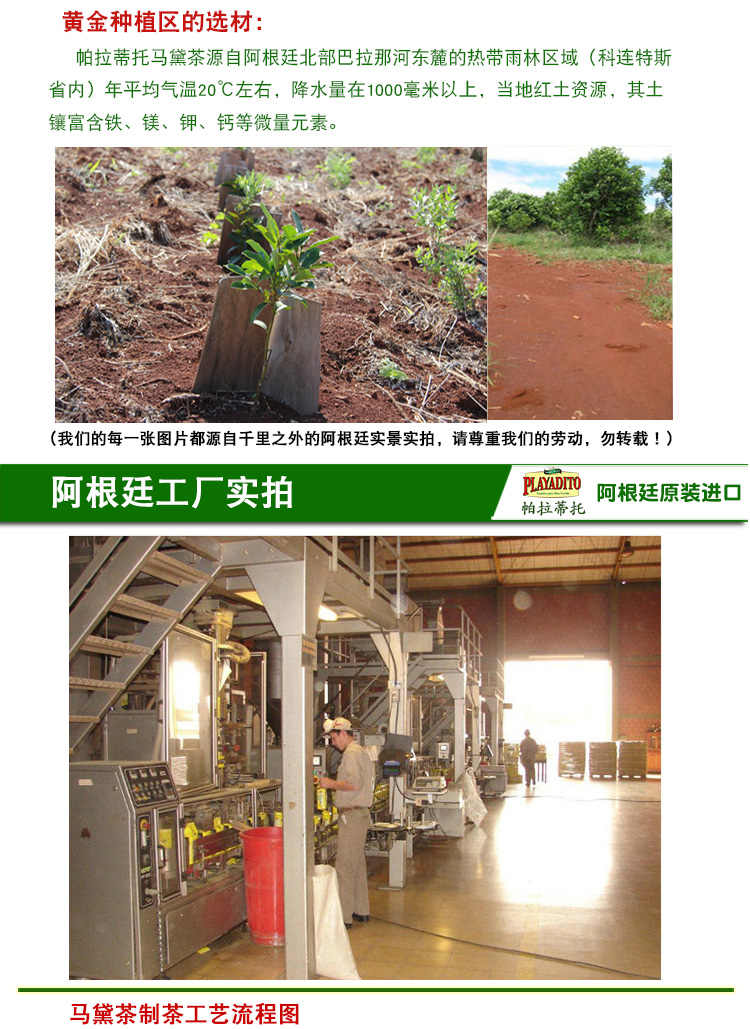 阿根廷原装进口 帕拉蒂托 精品无梗马黛茶 500g 图17