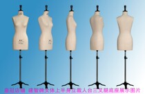 Construction of the Homo sapeen Womens Desk Women in the upper half of the body The womens top-cut womens blouses stand-cut board molt double crown shop *