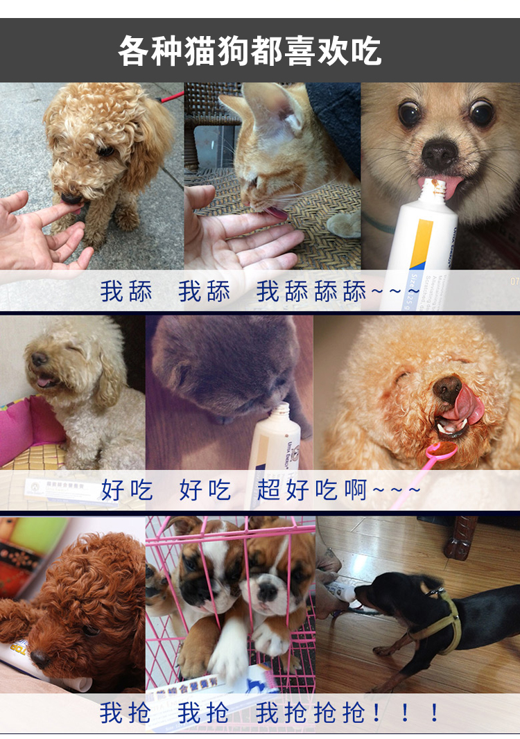 Siêu kem dinh dưỡng chó Teddy Golden Retriever chó con điều hòa dạ dày thú cưng sản phẩm sức khỏe mèo làm đẹp tóc đặc biệt sữa cho mèo con mới sinh