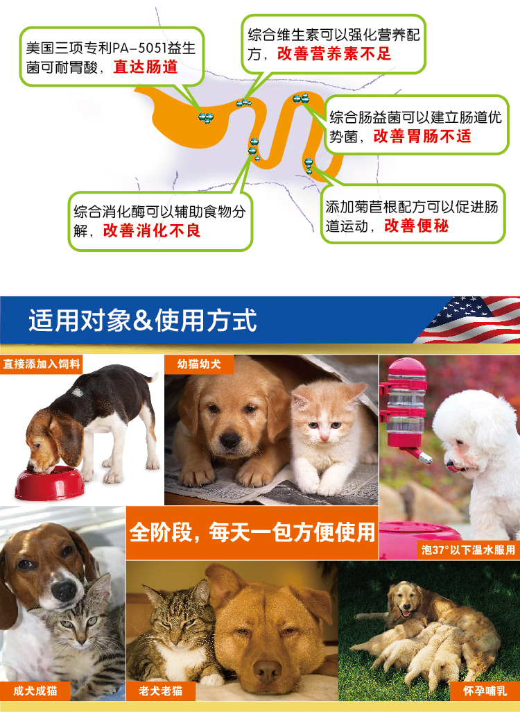 Thuốc bổ trợ kích hoạt đơn vị cao trong cơ bản của Med và mèo Teddy sữa cho chó rẻ