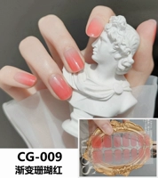 CG-009