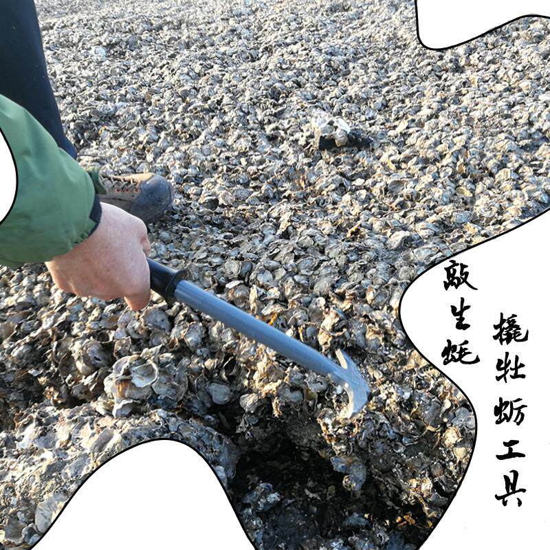 Catch the sea to dig the oyster tool Knock the sea oyster hook knock the scallop pick pick pick pick oyster shell vegetable pick oyster digging tool