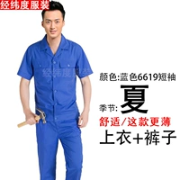 6619 Короткий -