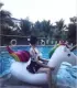 Sanya chính hãng flamingo bơi vòng lớn kỳ lân nổi hàng dứa bơi vòng nước cưỡi nổi bơi vòng