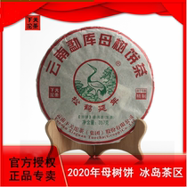 Xiguan Tuo Tea 2020 Mengku Mother Tree Cake 357G Icelandic Tea District Yunnan Puer Tea Cake
