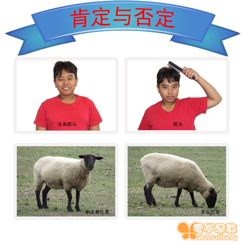 Positive or negative Language developmental delay Down's autism Autism aba rehabilitation training card teaching aid