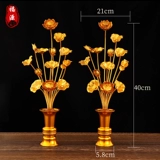 Fuyuan Golden Lotus Buddha Бывший цветок цветочный запас Hualien Flower Golden Flower