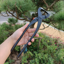 Gardening broken rod cutting Rod pliers opening pliers professional bonsai tools potted broken rod with curved pliers branch shape cut