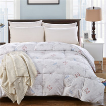  Simple spring and autumn quilt Winter quilt four seasons quilt washed cotton thickened 2 meters quilt core space quilt household home textile