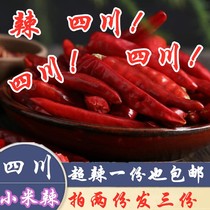 Special spicy super-fragrant millet spicy Seven Star Peppers Chosun pepper Pepper Hay peppers Sichuan chili Red Dry Peppers 200g