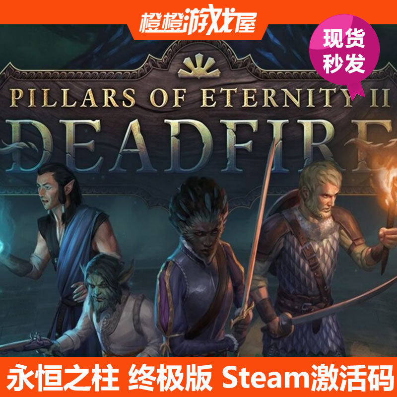 PC Genuine Timeless Post Final Polar Edition of the Pillars of Eternity Steam Activation Code Spot
