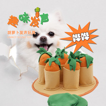 Pets sniffing vocalsToys take carrots pooch mat sleeping mat kittens smelling and consuming physical walking dog deity