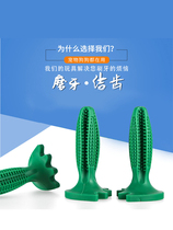 Pooch grinders toy with bite-proof teeth toy balls rubber balls Self-Hi-dearder Smother Puppies Teddy Large Dogs