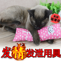Pet Cat Cat Pillow Cat Mint Big Hug Pillow Corner Force Pillow Balsamic kitty Puppy Kitty Pooch to Vent Toys