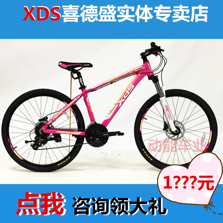 xds 24 inch bike