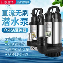 Agricultural brushless DC submersible pump High-lift 48V water pump 60V72 volt electric electric bottle car pumping water pump