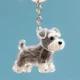 Transparent Dog Hair Storage Box Pendant Capsule for Storing Cat Hair, Commemorative Collection Bag, Keychain Bag Pendant