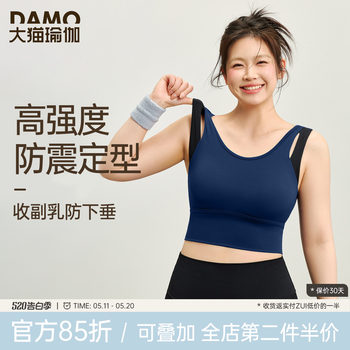 Women's plus size sports bra with high strength shockproof and anti-sagging
