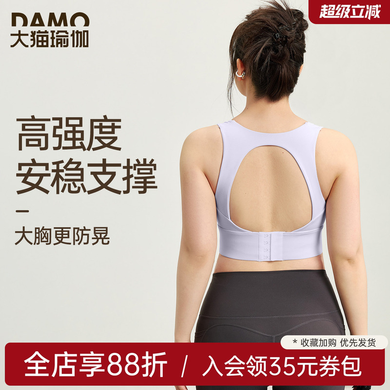Plus Size Sports Bra for Women, High-Intensity Shockproof and Anti-Sagging Yoga Vest, Running Bra, Fitness Wear for Spring and Summer Plus Size Sports Bra for Women, High-Intensity Shockproof and Anti-Sagging Yoga Vest, Running Bra, Fitness Wear for Spring and Summer