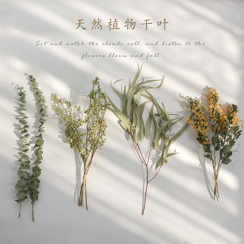 ドライフラワーブーケ、ユーカリ、小麦の穂、ウサギの尻尾、草、写真撮影、ポーズ、撮影、写真小道具、背景、装飾、飾り