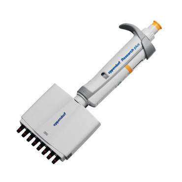 艾本德 Eppendorf 3-300ul 8道可调移液器Research plus整支消毒